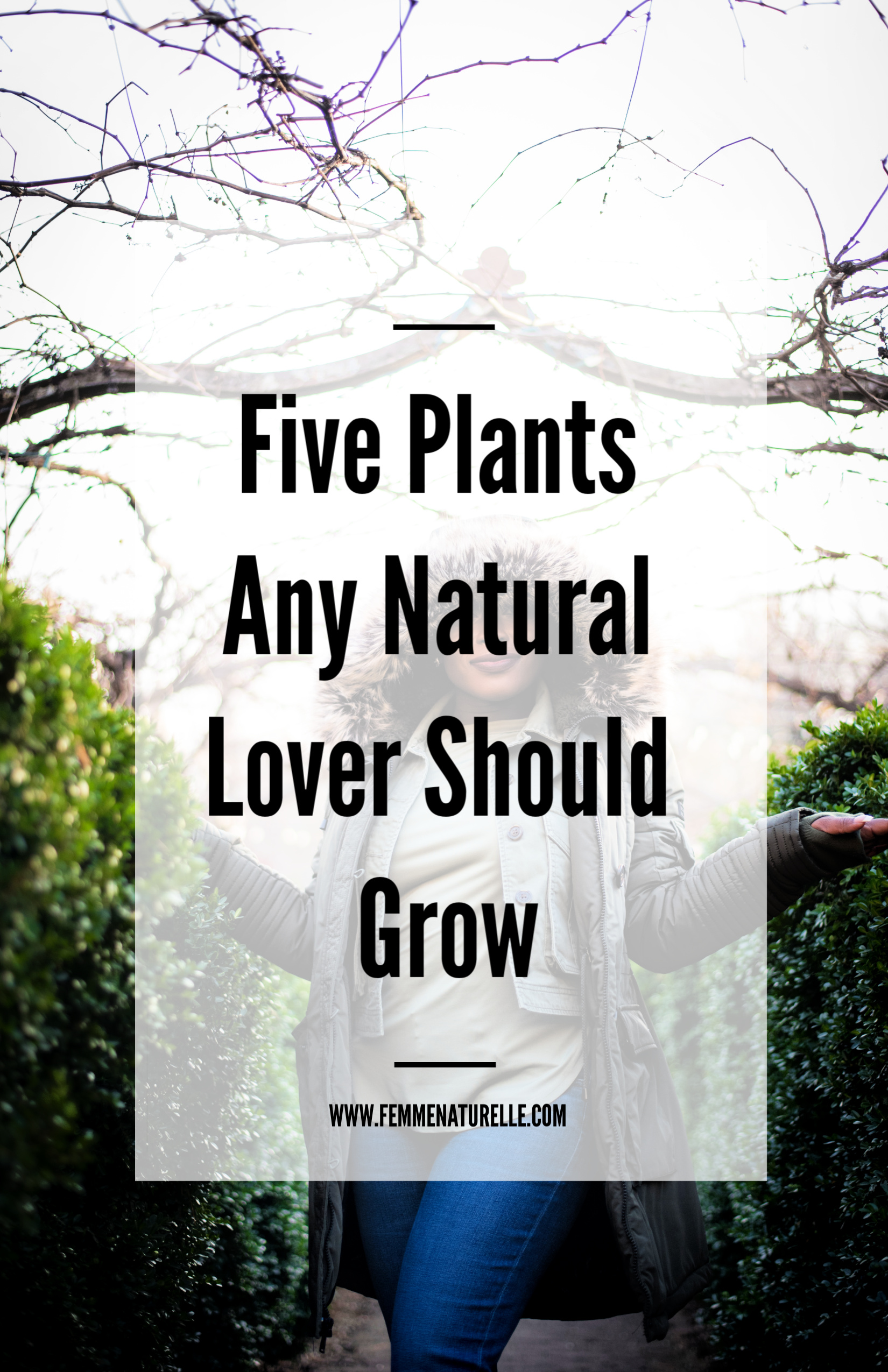 Five Plants Any Natural Lover Should Grow