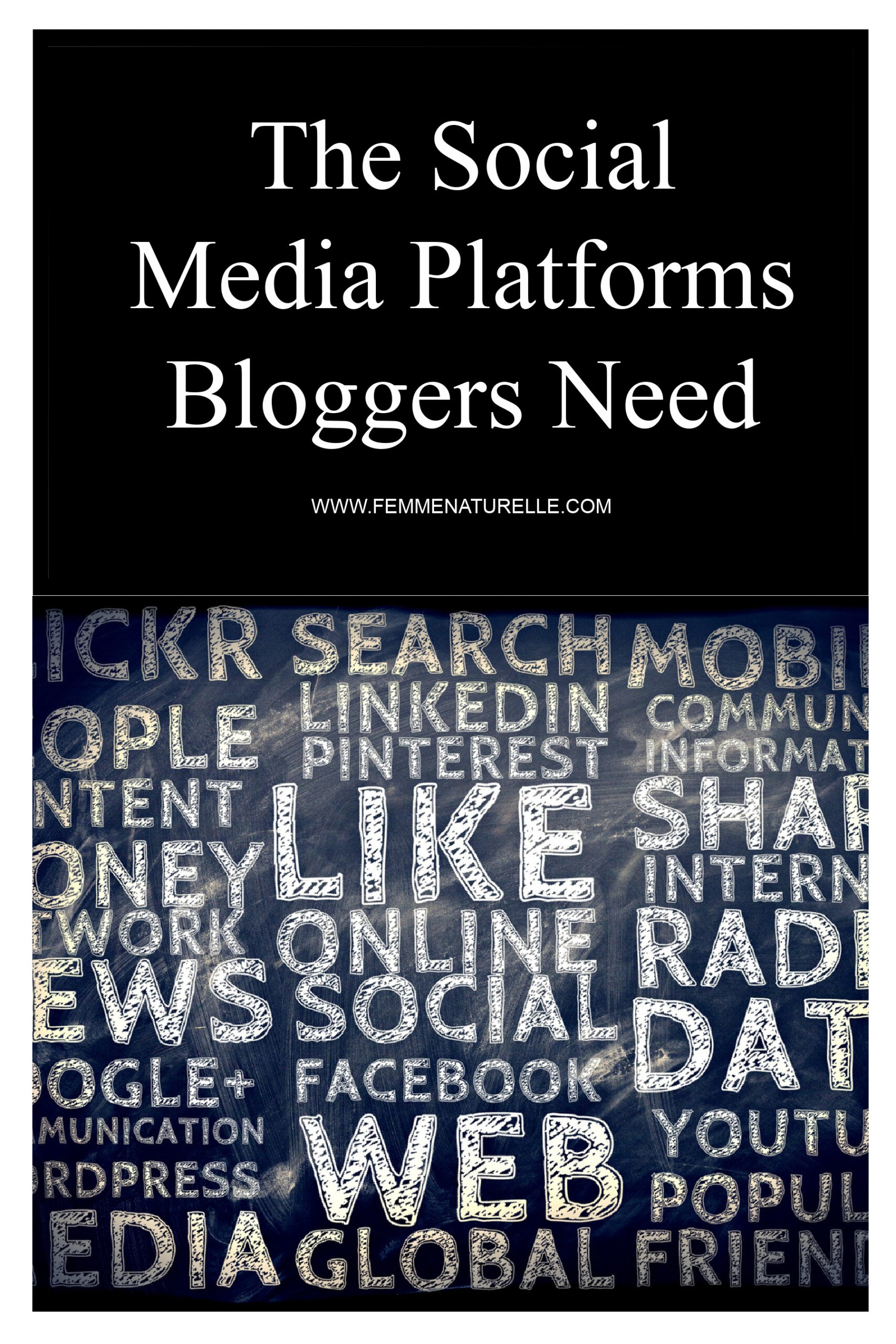 The Social Media Platforms Bloggers Need
