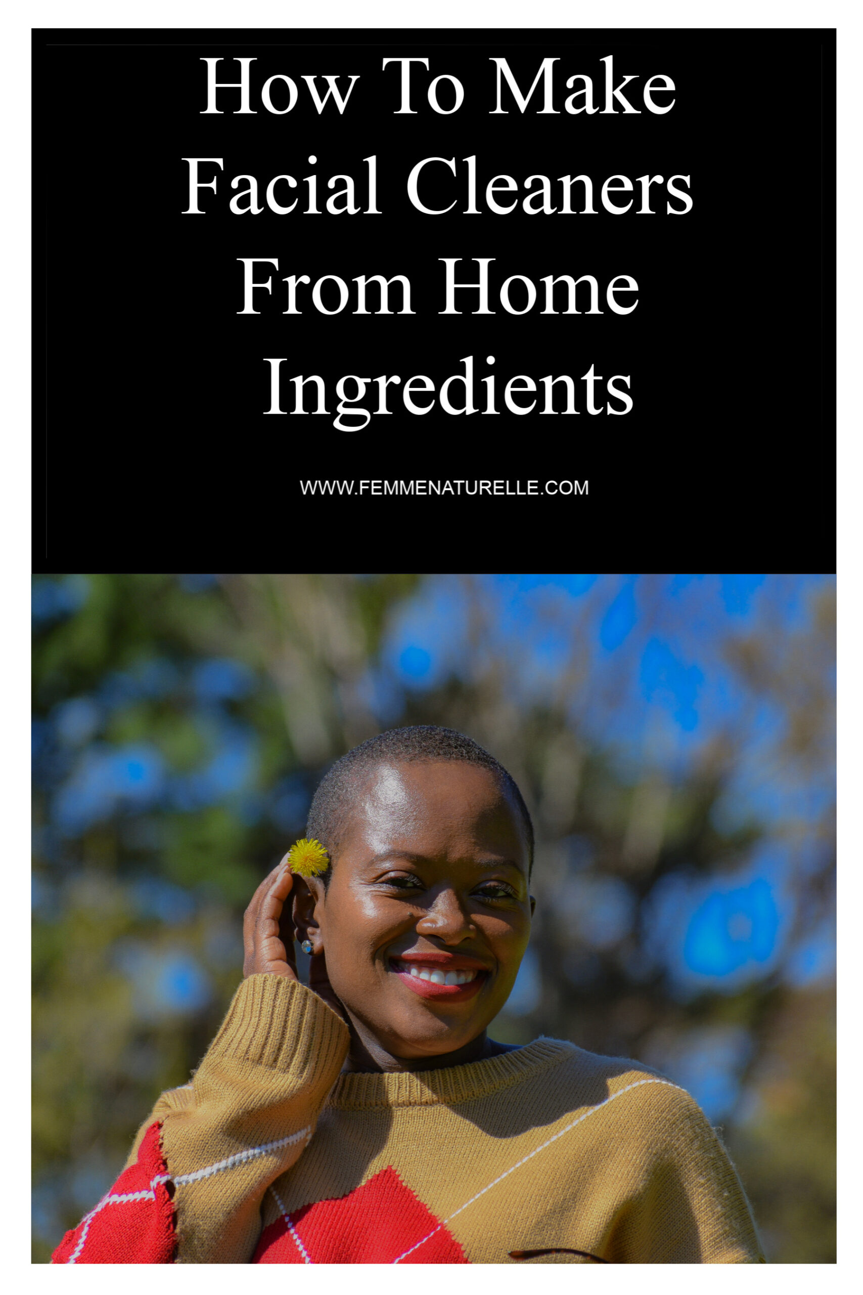 How To Make Facial Cleaners From Home Ingredients